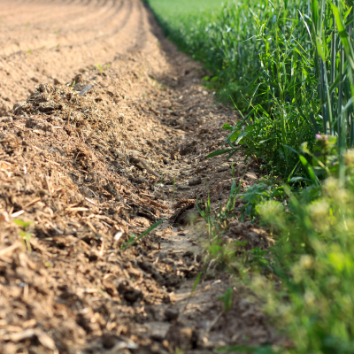 -Gegensatz in der Landwirtschaft-